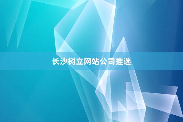 长沙树立网站公司推选