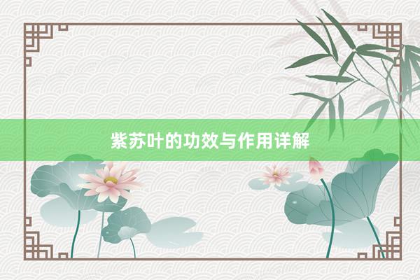紫苏叶的功效与作用详解