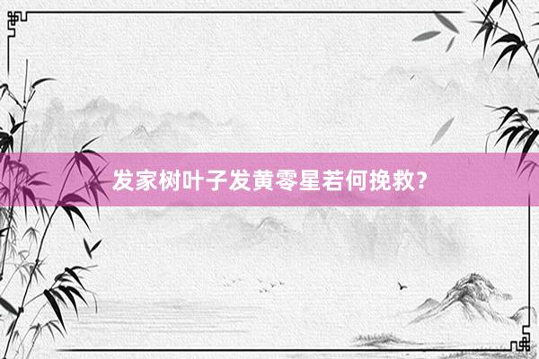 发家树叶子发黄零星若何挽救？