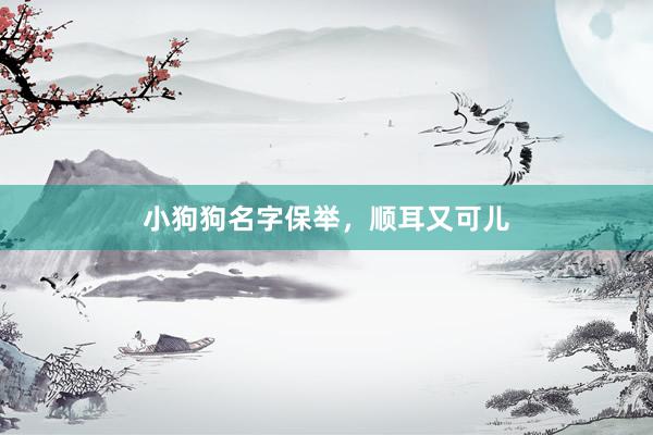 小狗狗名字保举，顺耳又可儿